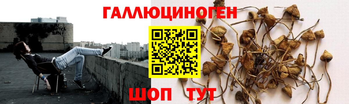 наркотики  Галлюциногенные грибы ЛСД  Вход с VPN  Бийск 