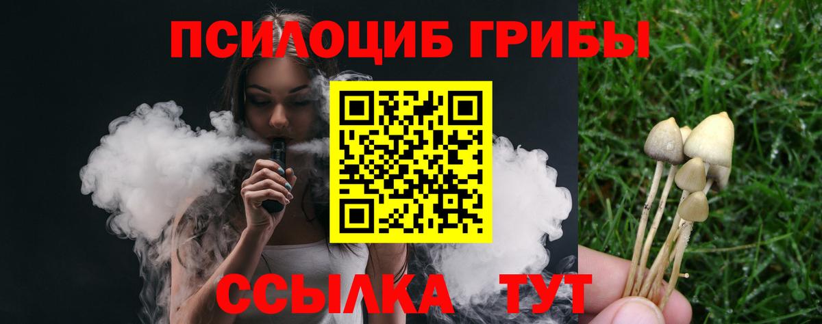 Псилоцибиновые грибы Psilocybe Бийск